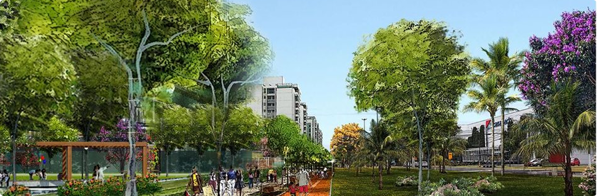PPP Avenida das Cidades – DF